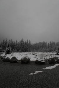 009