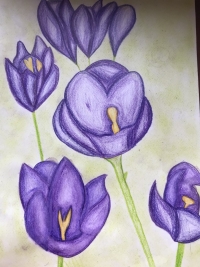 013